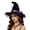 stag126 Women's Witch Hats-Purple, variant on BRICH Witch Hat for Women Halloween Party Accessories Wizard Hats with Wide Brim Lace Trim Black One Size