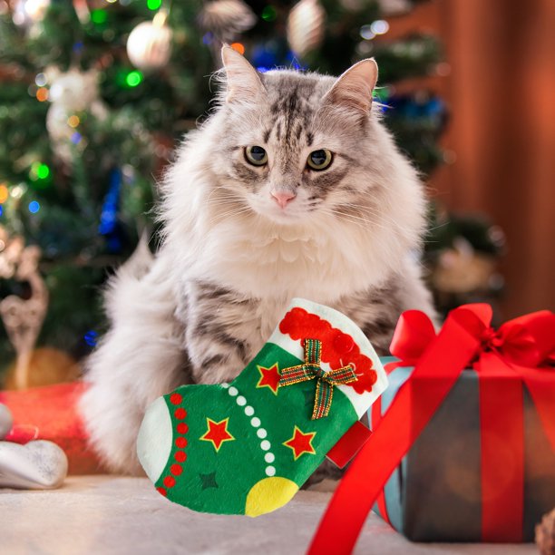 Juguetes para Perros Pequeños XWSHYW Sonajero Papel Menta Navidad