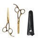 thumbnail image 1 of Kit de tijeras profesionales para cortar el cabello, 14 cm (5,5 pulgadas), acero inoxidable, color dorado, mango ergonómico., 1 of 5