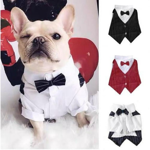 Cheers.US Pet Suit Bowtie Short Sleeve Cat Outfit Dog Wedding Suit Formal Shirt,Comfortable, Breathable, Lovely for Pet Weddings, Birthdays, Valentines Day, Daily Dress Up