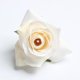 thumbnail image 4 of 10 Piezas de 55 Mm Seda Artificial Flores Flores de Flores para Flores Beso para Boda // Habitación / Coche / Decoración de Primavera DIY crema Macarena Cabeza de flor, 4 of 8