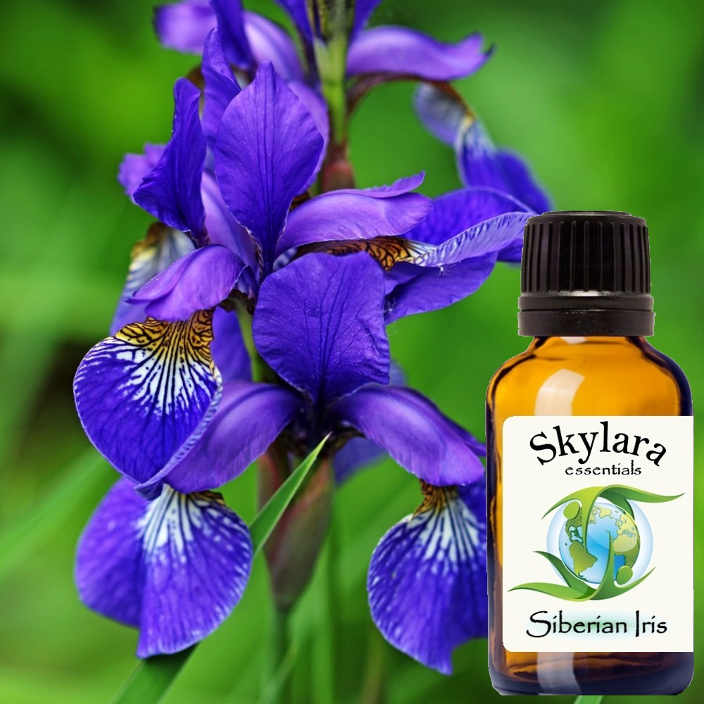 Organic Siberian Iris Essential Oil