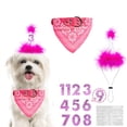 thumbnail image 4 of Party Banner Letter Set Fashion Sequins Cake Topper Set Birthday Banner for Dog, 4 of 10