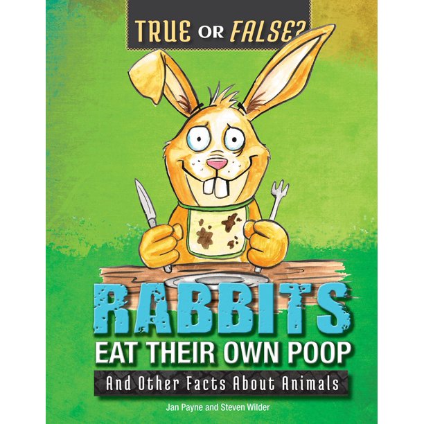 True or False? Rabbits Eat Their Own Poop And Other Facts about