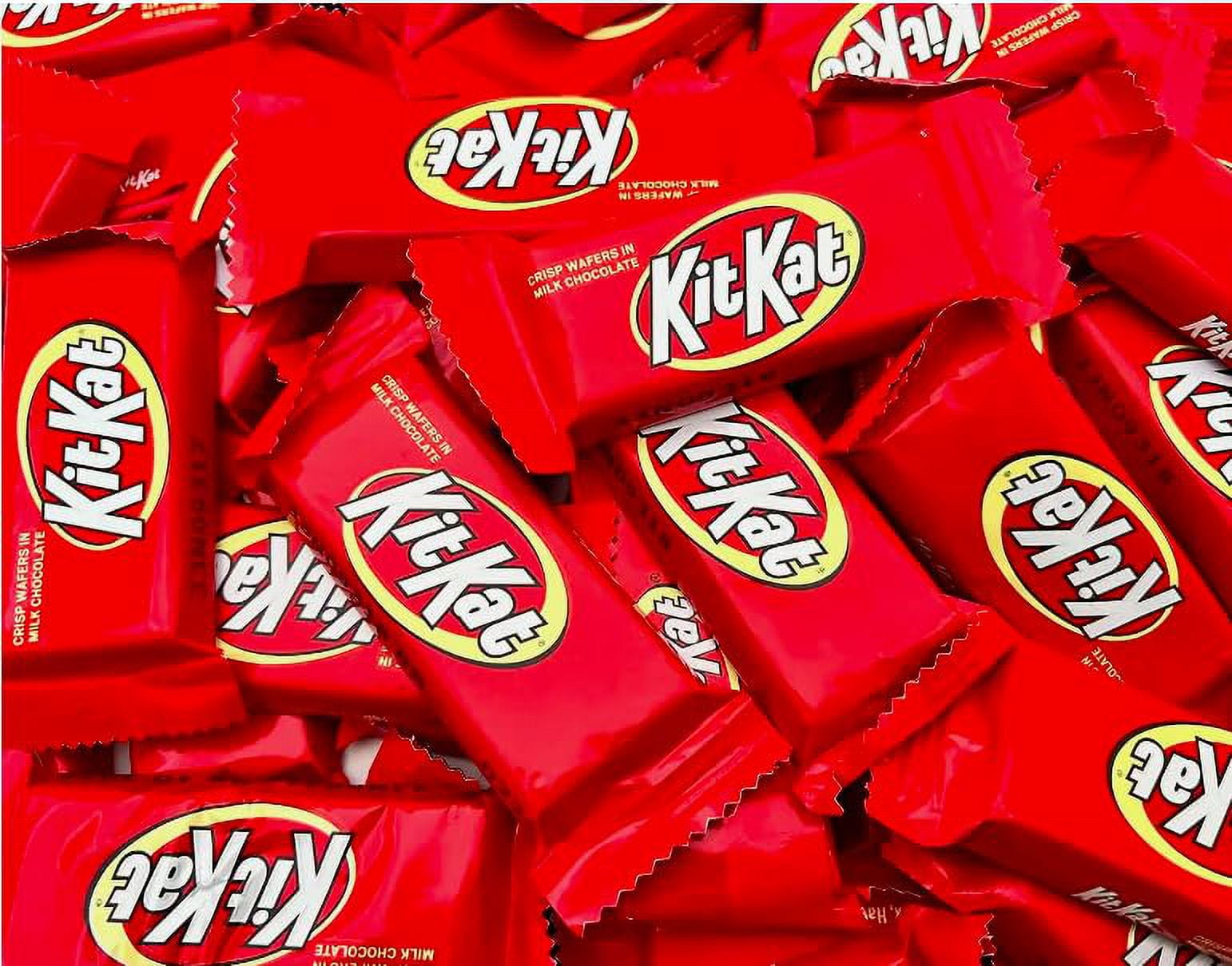 Milk Chocolate Mini Candy Bars in Bulk (3 Pound)