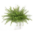 thumbnail image 1 of 5 Branches Artificial Eucalyptus Plant Plastic Leaf Plant Fake Greenery Plant, 1 of 9