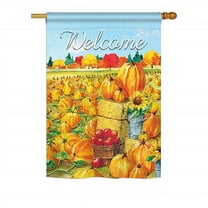 Breeze Decor BD-HA-H-113081-IP-BO-D-US18-BT H113081-BO Pumpkin Patch Fall Harvest & Autumn Impressions Decorative Vertical 28 x 40 in. Double Sided House Flag