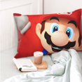 thumbnail image 4 of Lsque Mario Pattern Bedding Waterproof Pillow Protector Zippered Queen – Bed Bug Proof Pillow Encasement-20"x30", 4 of 6