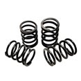 thumbnail image 2 of Speed ​​Run Springs 4 Piezas Delanteras Y Traseras para Arrma Limitless/Arrma Infracción/Delito Grave, 2 of 9