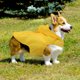 thumbnail image 1 of LOLIPPYY Impermeable Para Perros Con Capucha En Poliéster Resistente Color Amarillo Para Lluvioso, 1 of 6