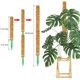 thumbnail image 3 of Poste de musgo para plantas Monstera, postes de musgo de 60 pulgadas para plantas trepadoras con poste de plástico, paquete de 4 soportes para plantas de coco de 16 pulgadas para escalar en macet, 3 of 5
