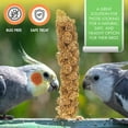 5LBS GMOFree Sun Dried Spray Millet Original Bird Treat Millet for Parakeets, Cockatiels