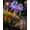 2pcs, variant on Magical Holographic Rainbow Solar Pinwheel Lights, Waterproof Solar Windmill Garden Lights with Color Changing LED Glow, Kinetic Wind Spinner Stake Outdoor Yard Decor for Pathway Lawn Patio(1PC)