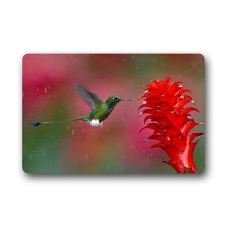 Rainy Day Rubber - WinHome Funny Bird in Rainy Day Hummingbird and Red Flower Doormat Floor Mats Rugs Outdoors/Indoor Doormat Size 23.6x15.7 inches