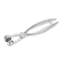 thumbnail image 1 of Cherry Pitting Tool, Cherry Pitter Lightweight Ergonomic  For Orchard For Gardener, 1 of 8