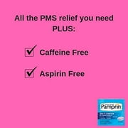 Pamprin Multi-Symptom Caplets 40 Caplets (Pack of 4)