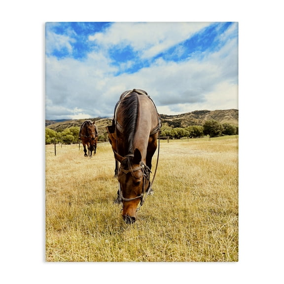 Stupell Industries Grazing Horses Pasture Animals Photography Wrapped Canvas Art Print Wall Art, 16 x 20