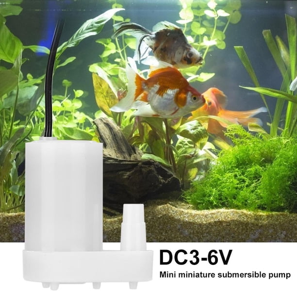5 piezas de motor sin escobillas de bajo ruido Mini bomba de agua sumergible vertical Ndcxsfigh Libre de BPA