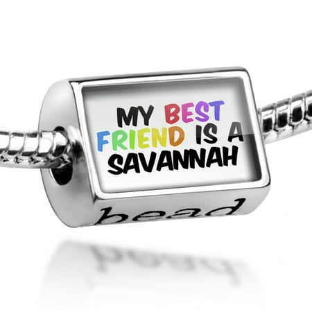 Bead My best Friend a Savannah Cat from United States Charm Fits All European