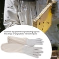 thumbnail image 1 of Beekeeping Gloves  Beekeeping Protective Gloves  Protective Gloves  Beekeepers Gloves  Beekeeping Protection Beekeeping Protective Gloves With Long  Sleeve Beginners Beekeepers, 1 of 8