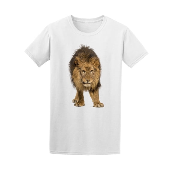 Lion Standing And Looking Down Tee Men's -Image by Shutterstock