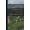 E, variant on Memoir of Nathaniel Bowditch (Paperback)