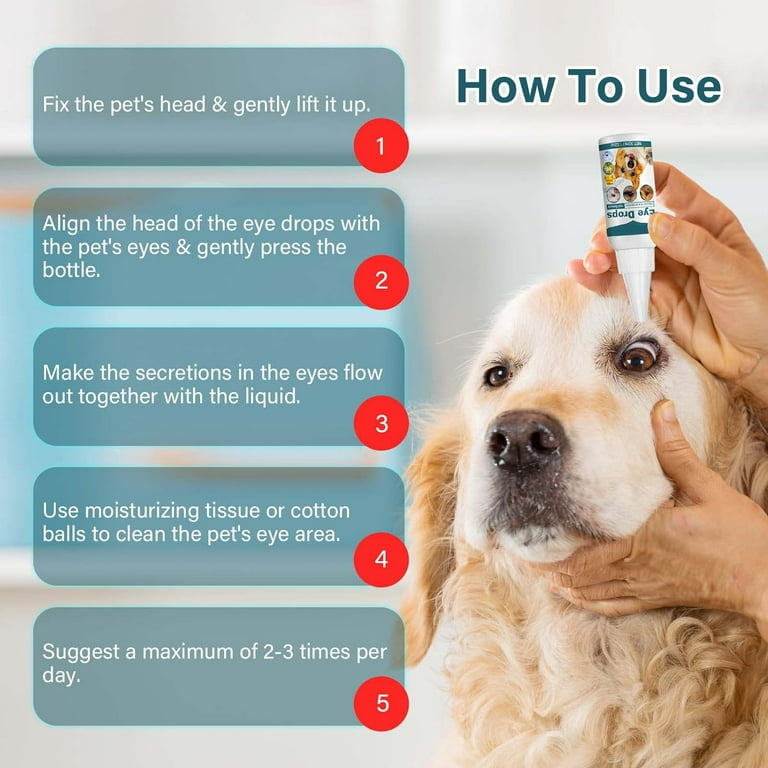 Do human eye drops work on dogs online