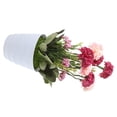 thumbnail image 1 of FESTFENDS Planta Artificial Roja Para Escritorio Con Alta Simulación Y Duradera, 1 of 7