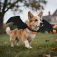 thumbnail image 5 of Gustave Dog Halloween Costume Bat Wings Puppy Kitten Cute Funny Cosplay Bat Costume Dress Up Collar Pet Apparel with Pumpkin Bell for Dogs Cats, 5 of 8