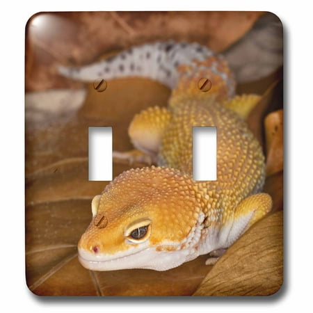 3dRose Leopard Gecko morph, Lizard, Pakistan-AS28 AJE0000 - Adam Jones - Double Toggle Switch