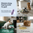 thumbnail image 5 of Sunny & Honey Pet Stain and Odor Remover - Enzyme Cleaner for Dog Urine and Poop on Carpets and Furniture - Strong Pet Carpet Cleaner Spray (32fl oz Lavender), 5 of 10