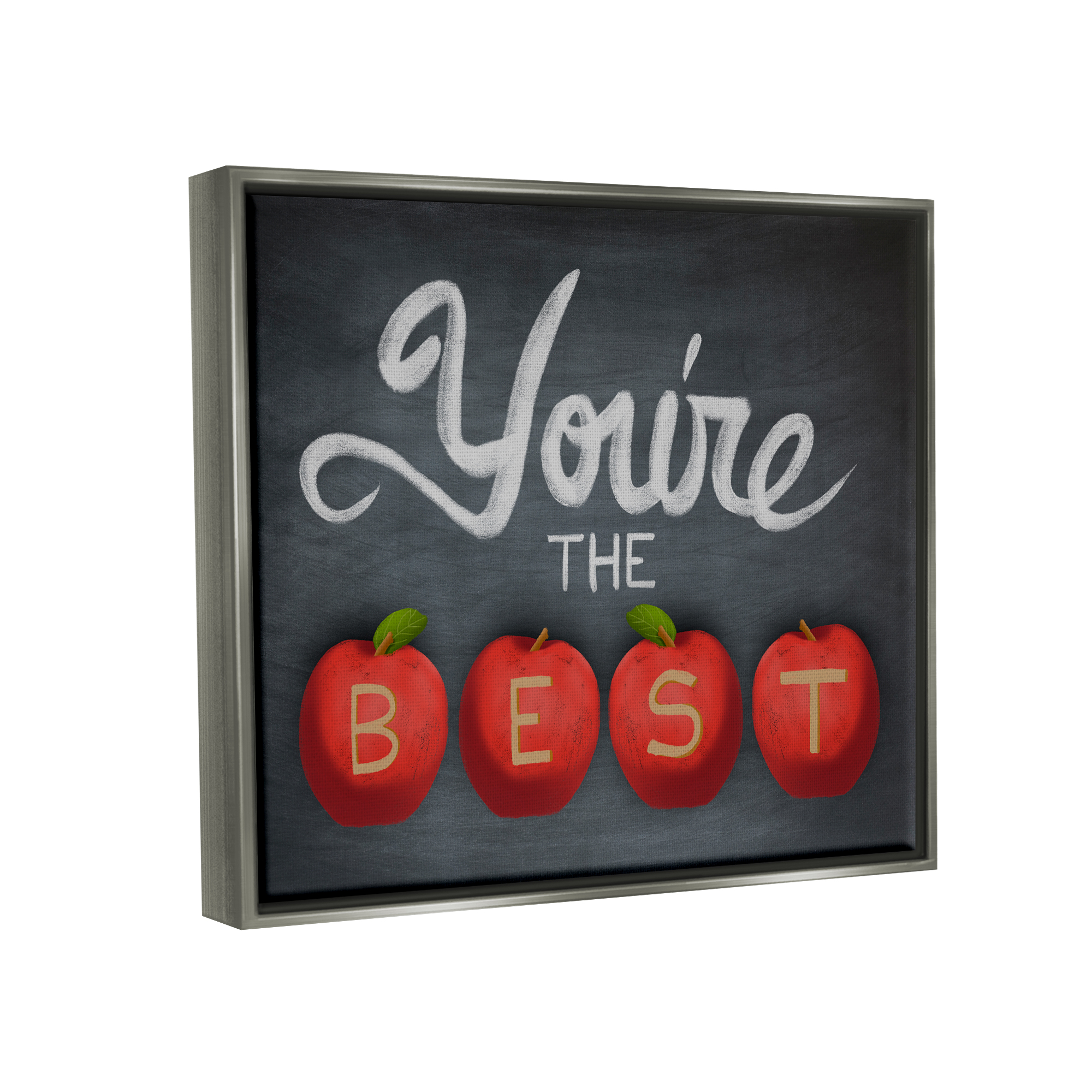 Stupell You're The Best Teacher Apples Food & Beverage Painting Gray Floater Framed Art Print Wall Art