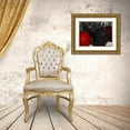 thumbnail image 3 of Prime, Marcus 32x25 Gold Ornate Wood Framed with Double Matting Museum Art Print Titled - Despicable Apples, 3 of 4