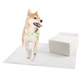 thumbnail image 1 of Almohadillas Para Orina De Perro Almohadillas De Entrenamiento Ultra Absorbentes Con Superficie De Secado Rápido Almohadillas Para Entrenamiento De Perros Suministros Para Mascotas Moyic PT002711-04, 1 of 6
