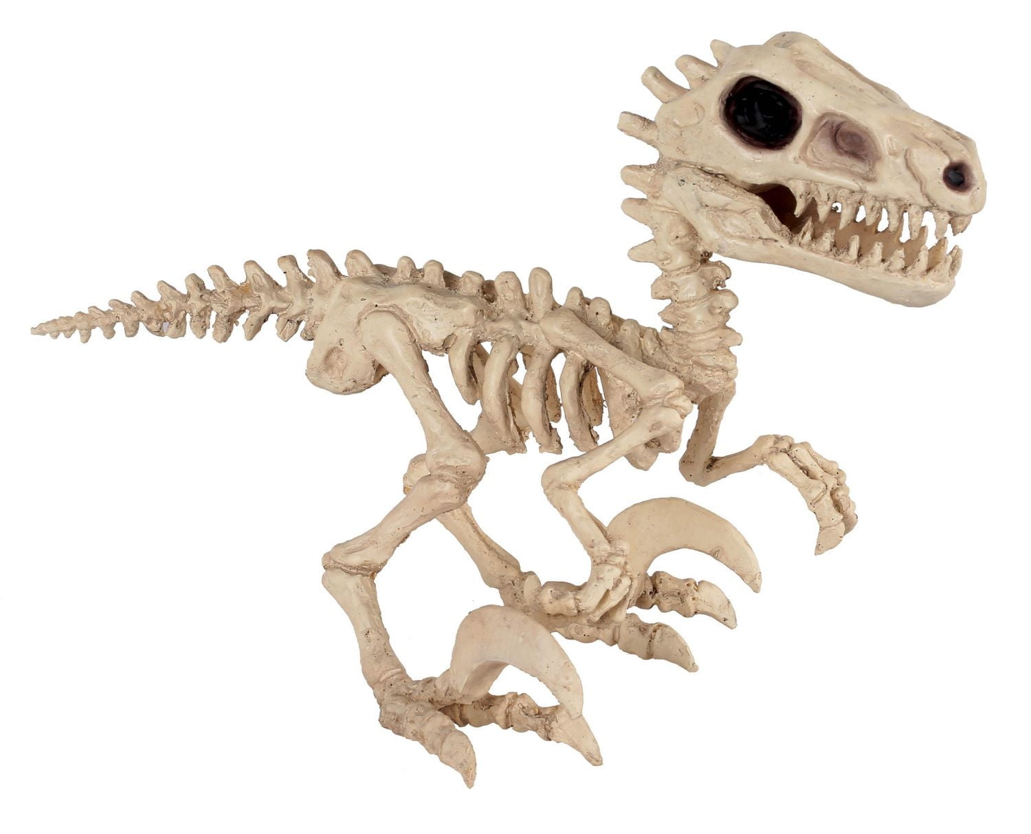 RAPTOR BONEZ