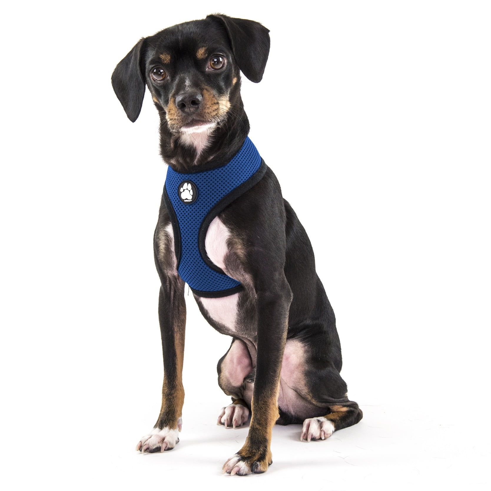 FurHaven Pet Harness Mesh Dog & Cat Harness, True Blue, Small