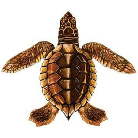 Baby Turtle Porcelain (Style C) Swimming Pool Mosaic (Style C - 5" x 5", Brown)