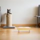 thumbnail image 4 of RUNROTOO Elevado Para Perros Y Plástico Resistente Con Ergonómico Para Alimentación Cómoda, 4 of 8