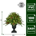 thumbnail image 3 of Fraser Hill Farm 2-Ft. Porch Tree in Black Pot with Red Berries and Warm White Lights, FF004PT-024-5GR, 3 of 9