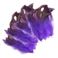 thumbnail image 4 of Abbraccia 50x Feathers for Crafts Colors Feather Handicraft Accessories Decorative Feathers for Holidays Hats Costumes Wedding Cosplay, 4 of 10
