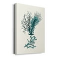 thumbnail image 2 of Antique Coastal Coral VI Premium Gallery Wrapped Canvas - Ready to Hang, 2 of 9