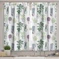 thumbnail image 2 of Ambesonne Cactus Valance & Curtain, Native Flora with Blossom, 55"x24", Multicolor, 2 of 6