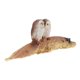 thumbnail image 5 of Owl Figurine Decorative Animal Leaf Statue Home Decoration Resin 1Set, 5 of 5
