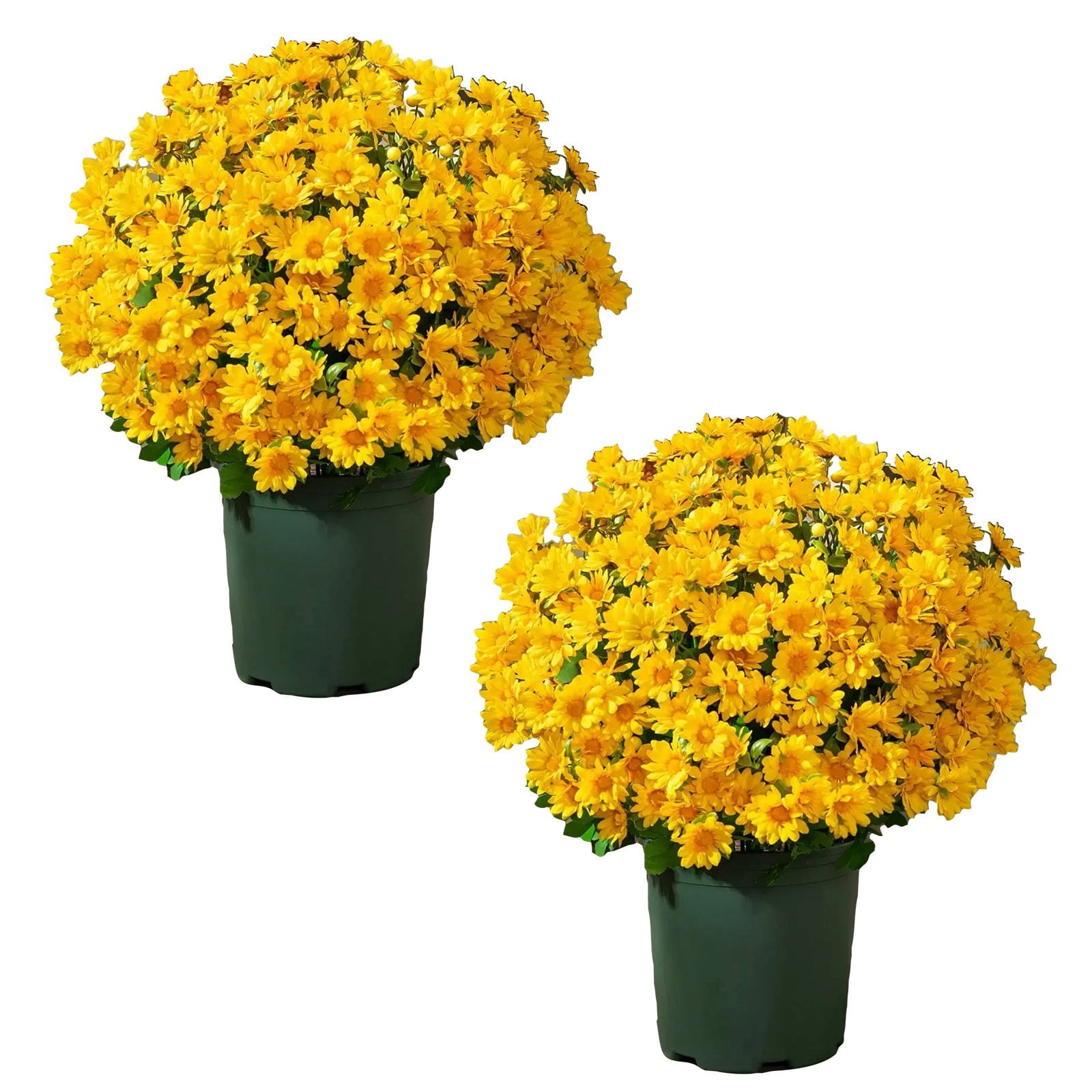 Lot de 5 fleurs artificielles d'extérieur au coucher du soleil, résistantes aux UV, imperméables, coupe-vent, décorations d'automne multicolores pour une utilisation en extérieur, pour décoration Lot de 5 fleurs artificielles d'extérieur au coucher du soleil, résistantes aux UV, imperméables, coupe-vent, décorations d'automne multicolores pour une utilisation en extérieur, pour décoration