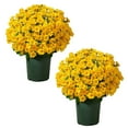 thumbnail image 2 of VINOIC Artificial Chrysanthemum Flowers, 10 Bundles Fade-Proof Outdoor Plants, Garden Decor, 2 of 8