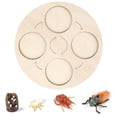 thumbnail image 3 of Ayudas para ñanza de Vida de Madera, Juguete Natural Educativo Temprano para Regalos Presentes, Pequeños, Y Niñas , Sunnimix Tablero de ciclo de vida, 3 of 5