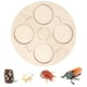 thumbnail image 3 of Ayudas para ñanza de Vida de Madera, Juguete Natural Educativo Temprano para Regalos Presentes, Pequeños, Y Niñas , Sunnimix Tablero de ciclo de vida, 3 of 5