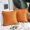 Orange, variante sur JUNWELL Lot de 2 Housses de Coussin Décoratives Style Ferme Bords Bordés en Toile de Jute et Lin Gris Foncé 12 x 20 Pouces 30 x 50 cm