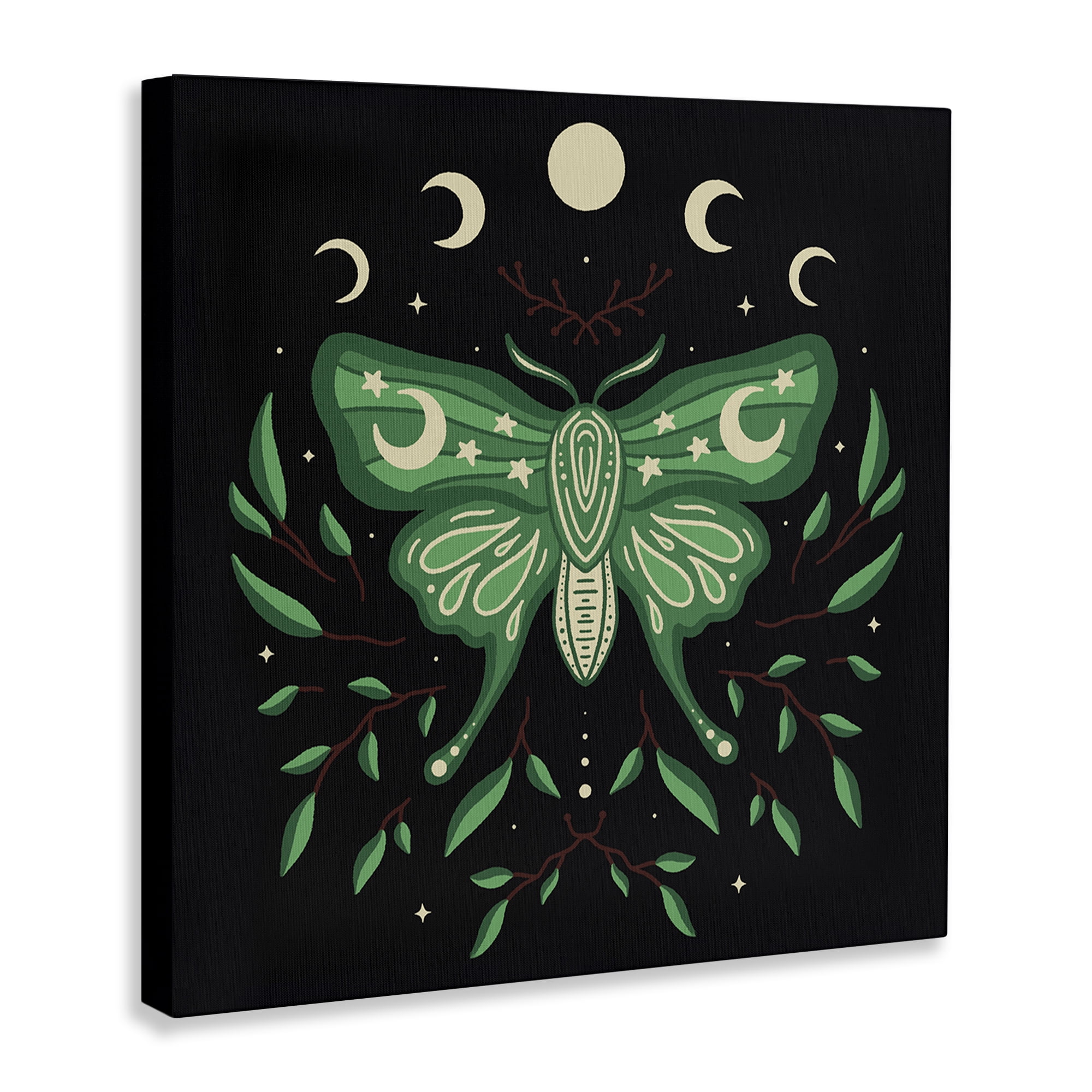 Stupell Industries Celestial Moth & Botanicals Animals Painting Wrapped Canvas Art Print Wall Art, 30 x 30