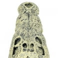 thumbnail image 1 of Wchiuoe Aquarium Decoration Artificial Simulation Skull Shape Ornament For Fish Tank Landscape, 1 of 8
